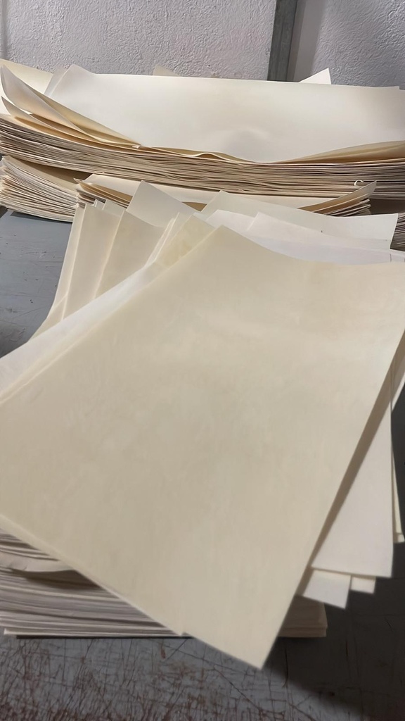 paquete de 100 formatos de 37x21cm en  pergamino en piel de Cordero