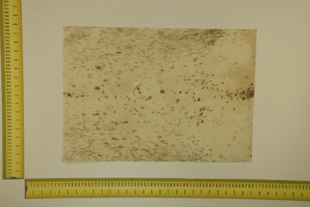 Formato moteado 53 X 37 2ª ID.019