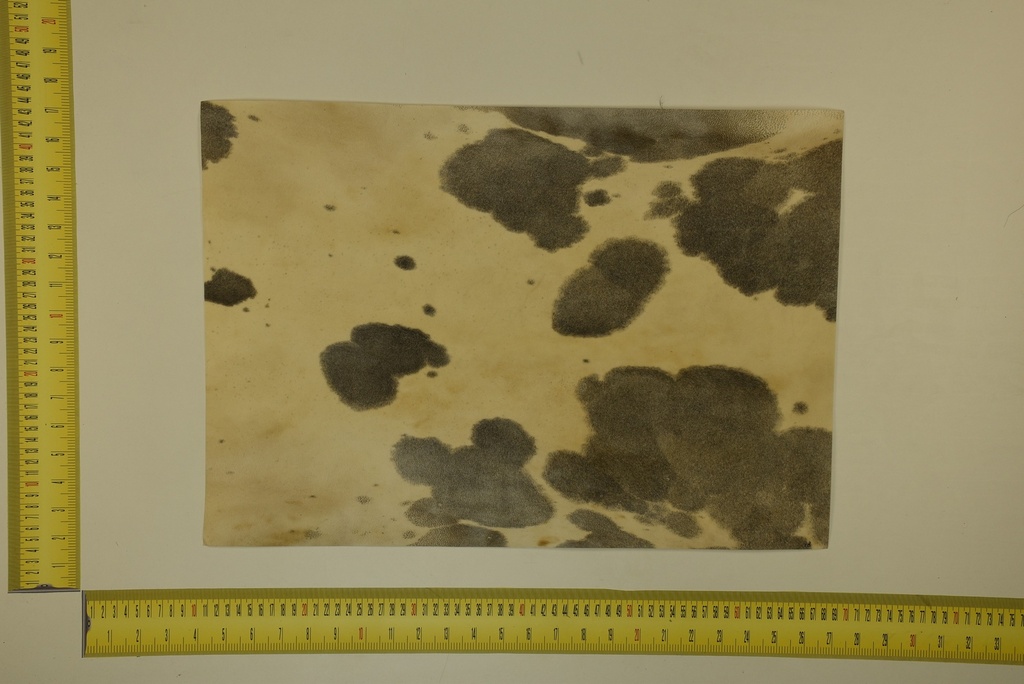 Formato moteado 53 X 37 2ª ID.032