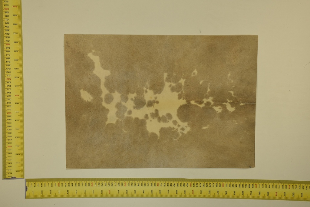 Formato moteado 53 X 37 2ª ID.039