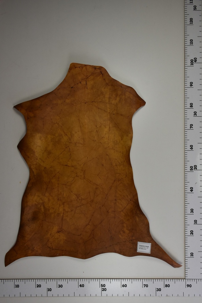 Pergamino tintado marrón claro 30-000-04-01