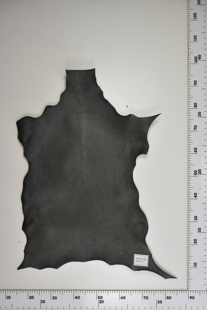 Pergamino tintado verde oscuro 30-000-07-07