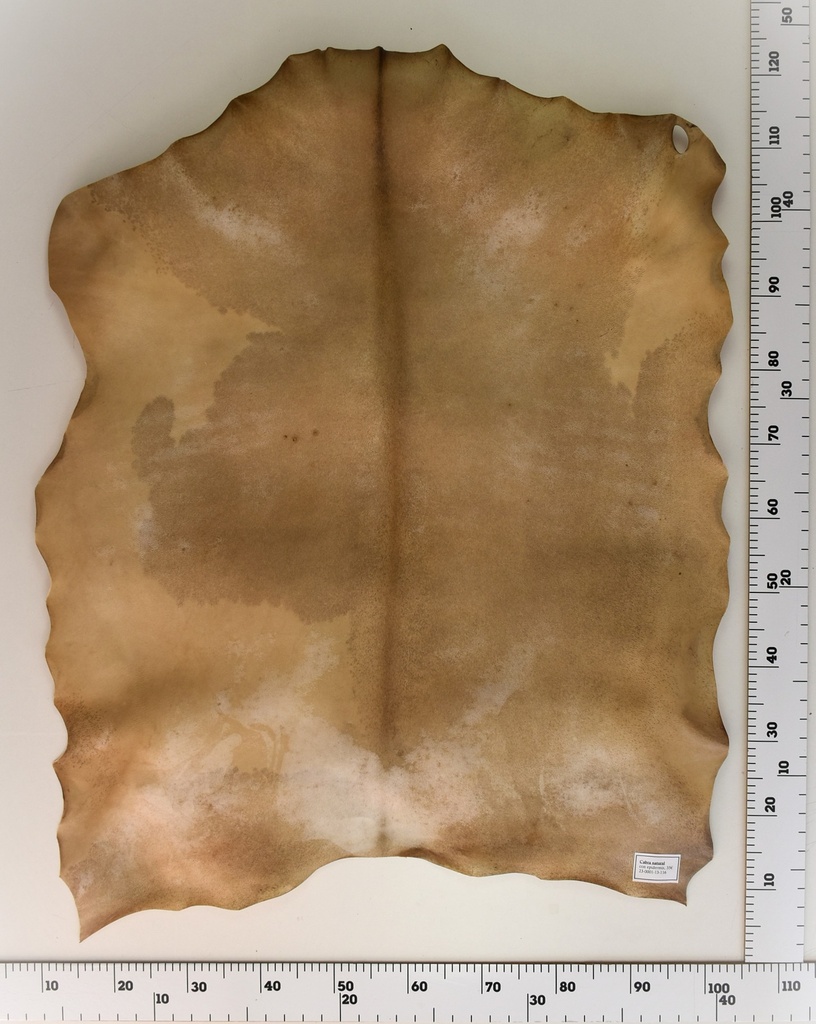 Cabra natural 23-0001-13-116