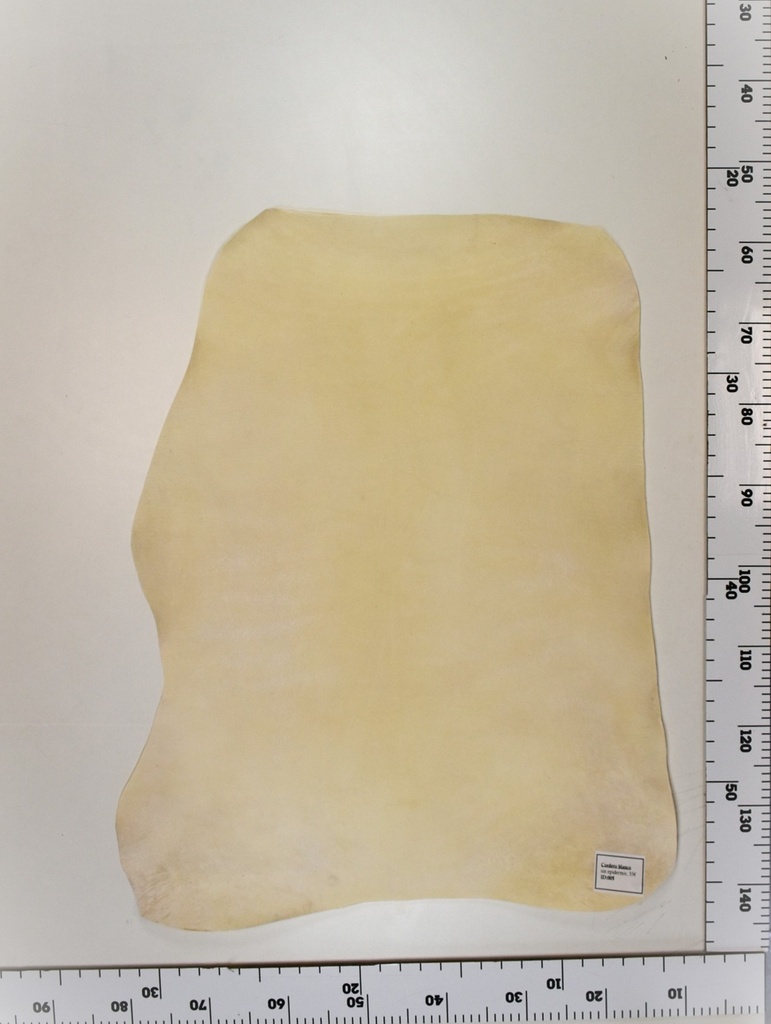 Cordero blanco impresión digital ID:005