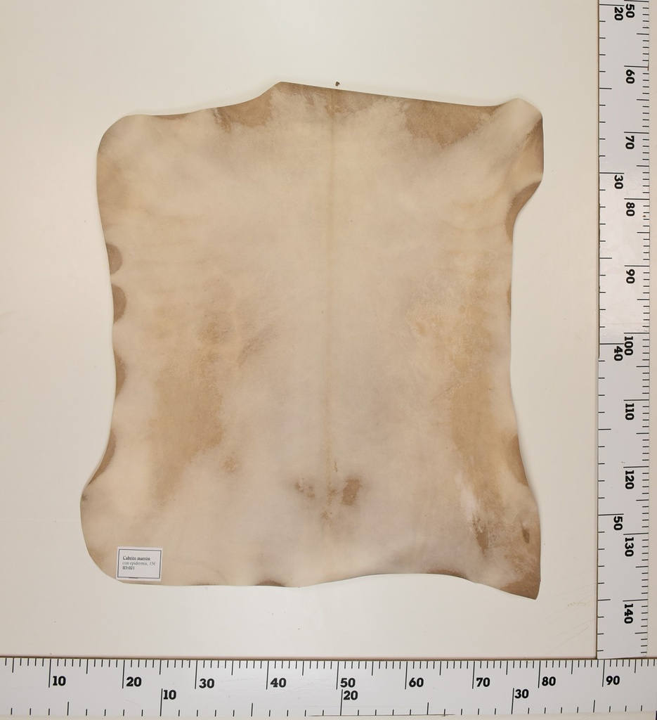 Cabrito Marrón ID021