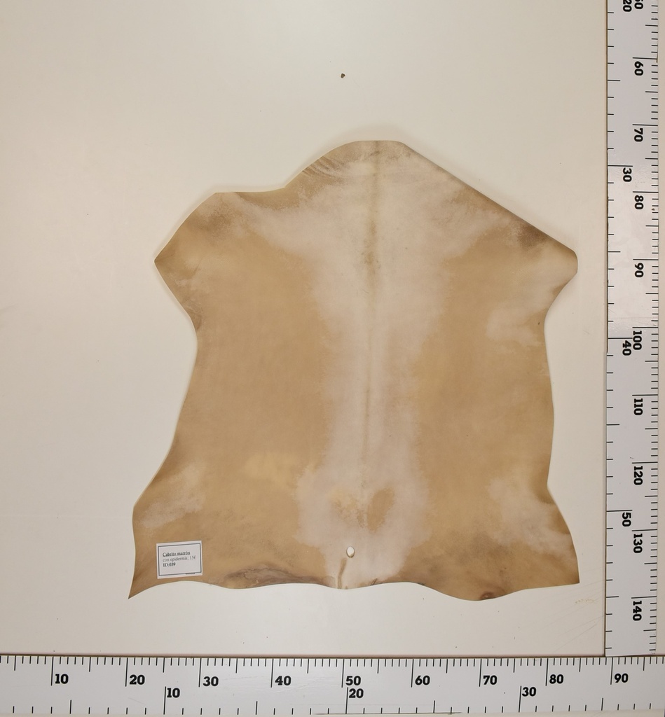 Cabrito Marrón ID039
