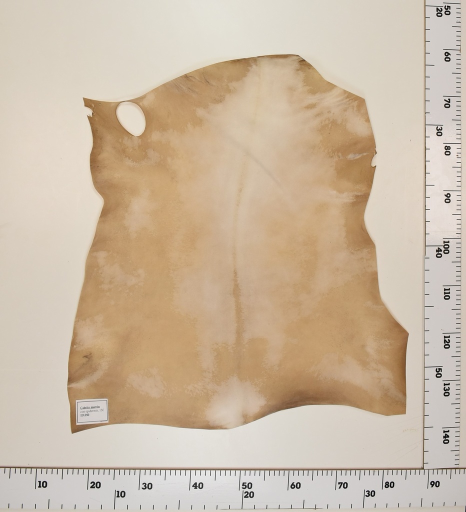 Cabrito Marrón ID050