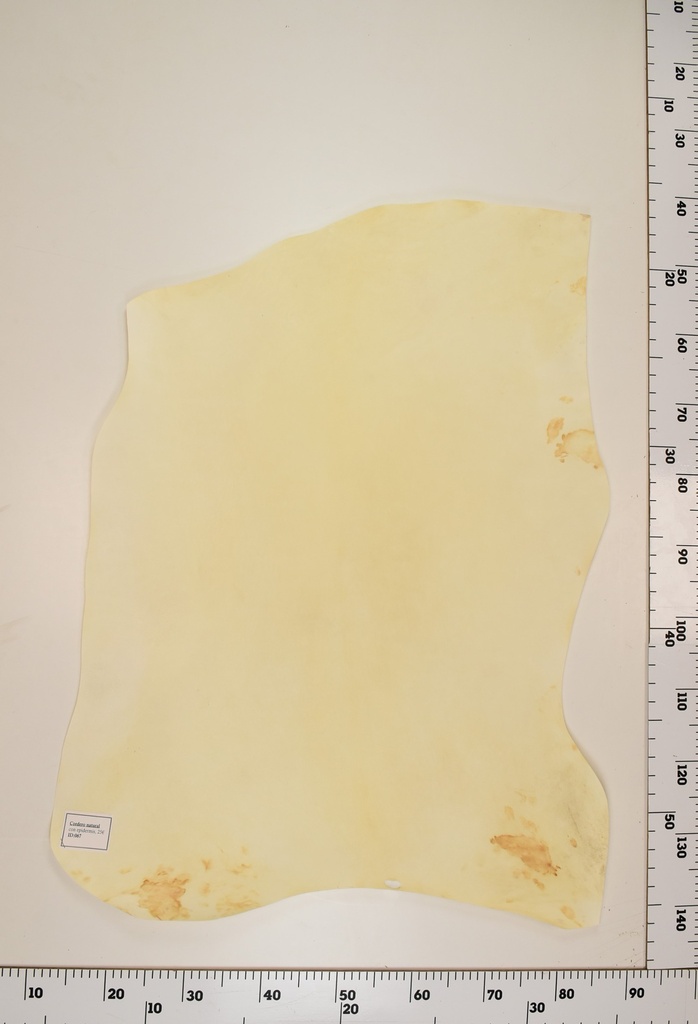 Cordero Natural ID067