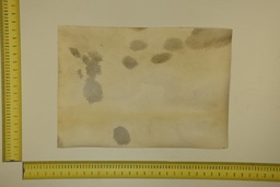 [22-5337-26-007] Formato moteado 53 X 37 2ª ID.007