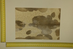 [22-5337-26-022] Formato moteado 53 X 37 2ª ID.022