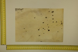 [22-5337-26-026] Formato moteado 53 X 37 2ª ID.026