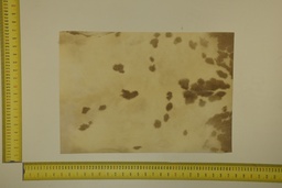 [22-5337-26-040] Formato moteado 53 X 37 2ª ID.040