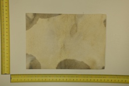 [22-5337-26-042] Formato moteado 53 X 37 2ª ID.042