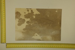 [22-5337-26-049] Formato moteado 53 X 37 2ª ID.049