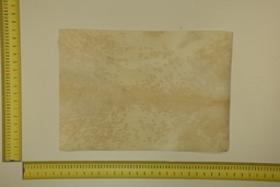 [22-5337-26-053] Formato moteado 53 X 37 2ª ID.053