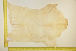 [24-0001-03-010] Piel de cabrito natural ID.010