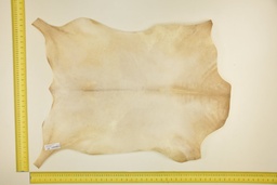 [24-0001-02-007] Piel de cabrito blanco ID.007