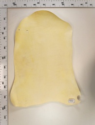 [22-0000-02-065] Cordero Blanco 22-0000-02-065