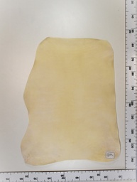 [23-0001-005] Cordero blanco impresión digital ID:005