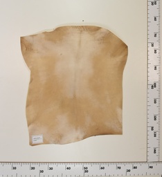 [24-0001-003] Cabrito Marrón ID003