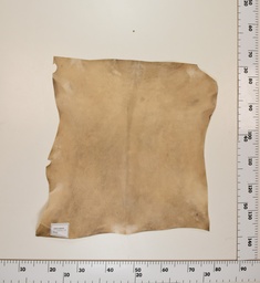 [24-0001-027] Cabrito Marrón ID027