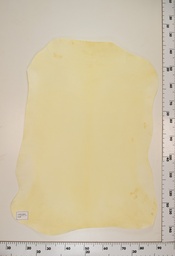 [22-0001-00-056] Cordero Natural ID056