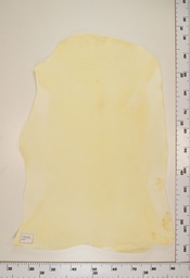 [22-0001-00-073] Cordero Natural ID073