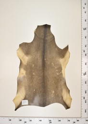 [22-0001-17-018] Cordero Negro ID018