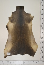 [22-0001-17-022] Cordero Negro ID022