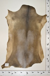 [22-0001-17-028] Cordero Negro ID028